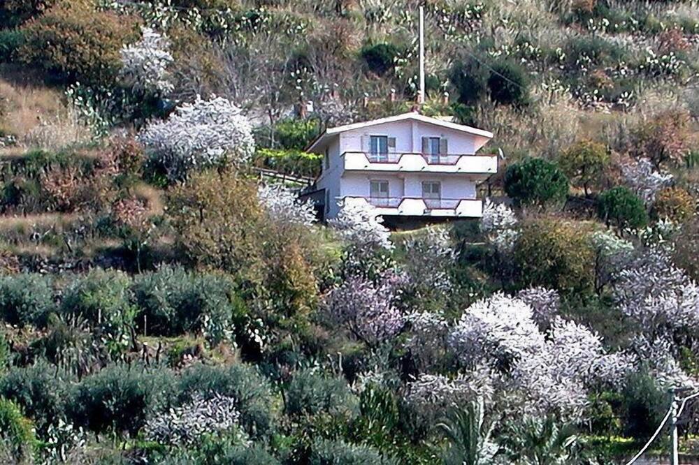 Photo of Outdoor in Coccorino