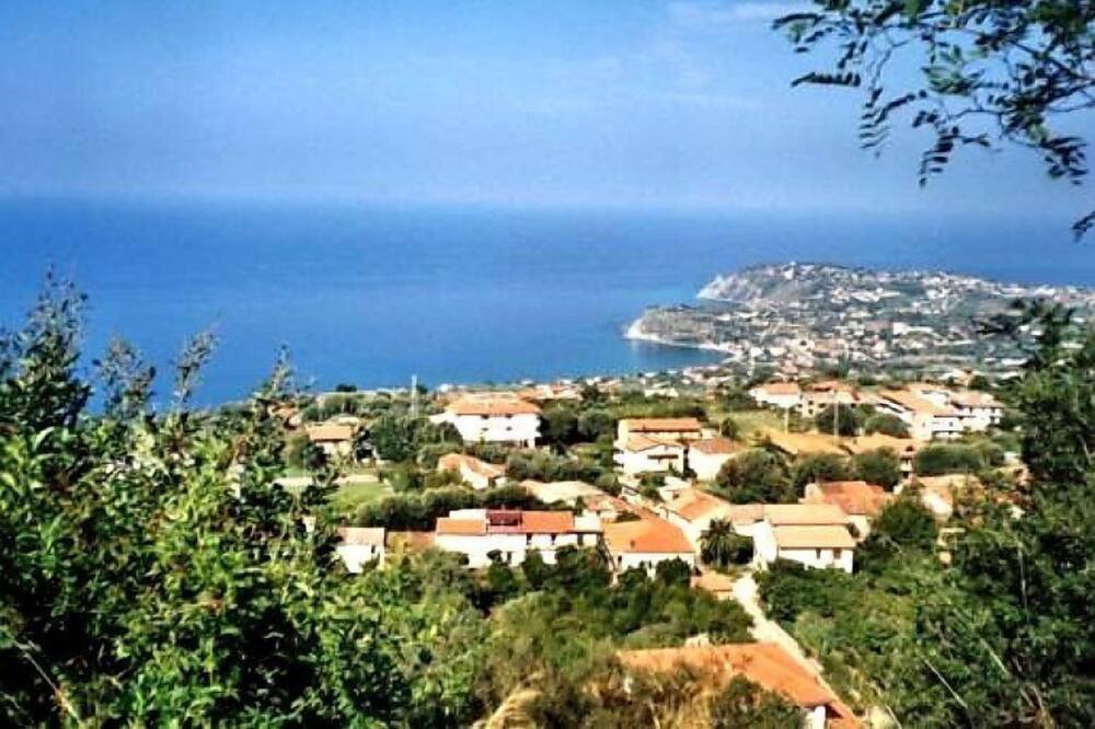 Photo of Outdoor in Coccorino