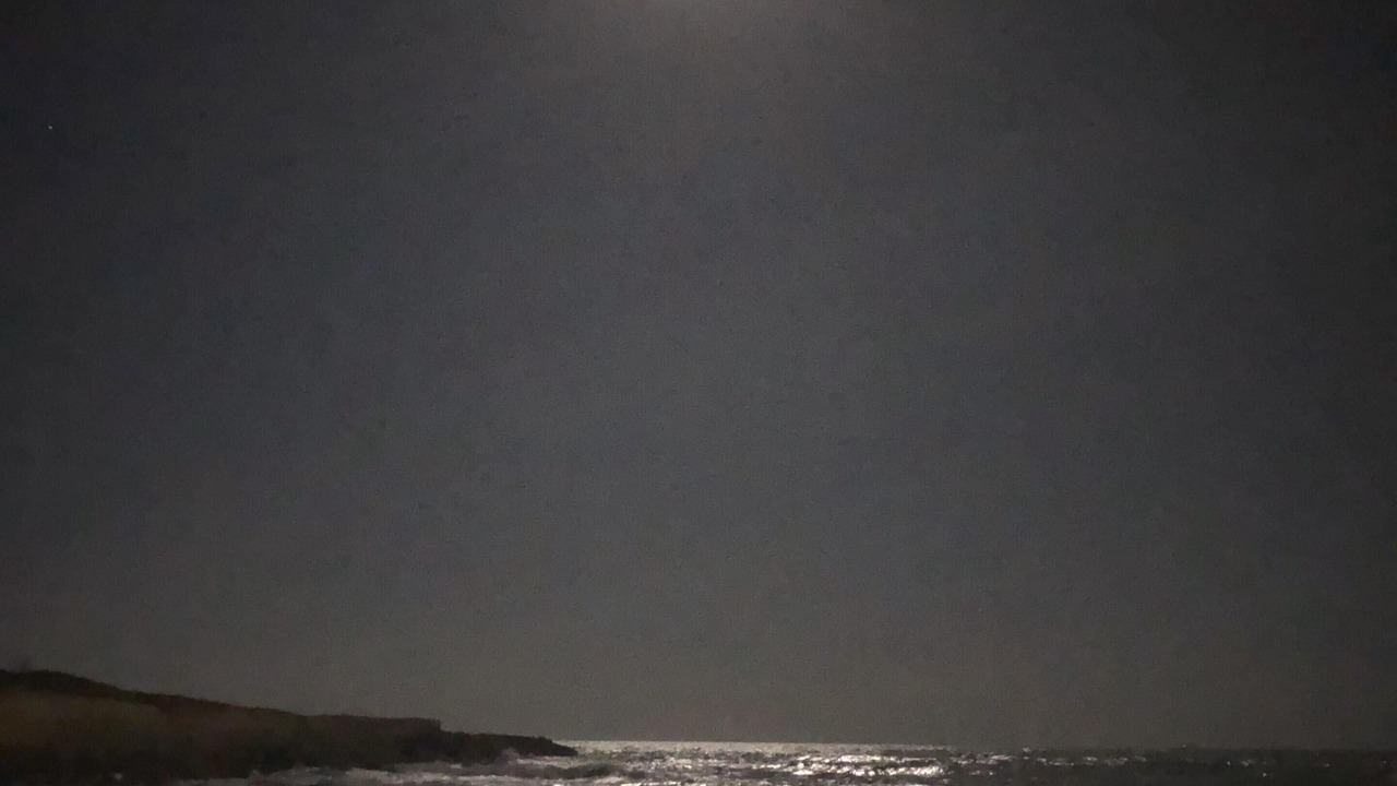 Photo of Others in Punta Braccetto