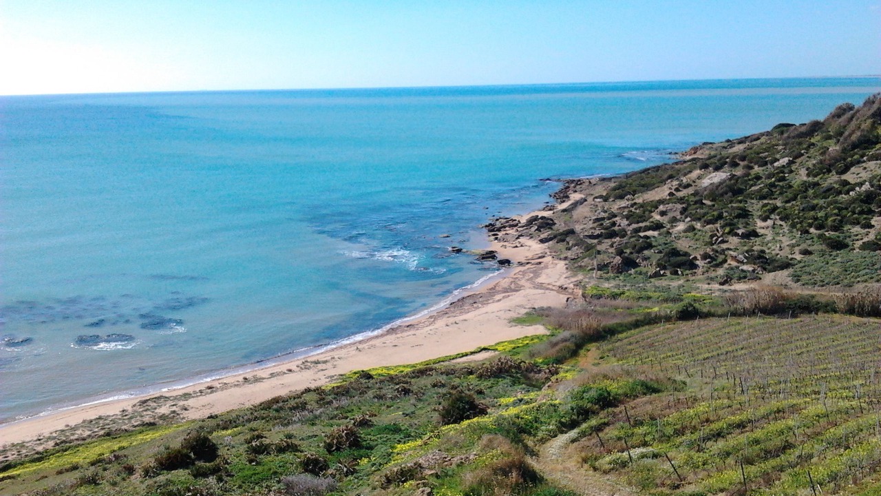 Photo of Others in Menfi