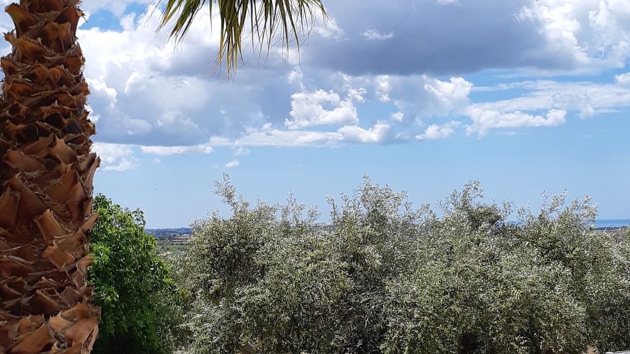 Photo of Outdoor in Menfi