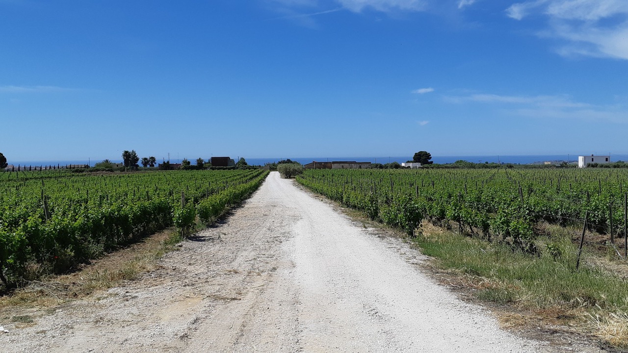 Photo of Outdoor in Menfi