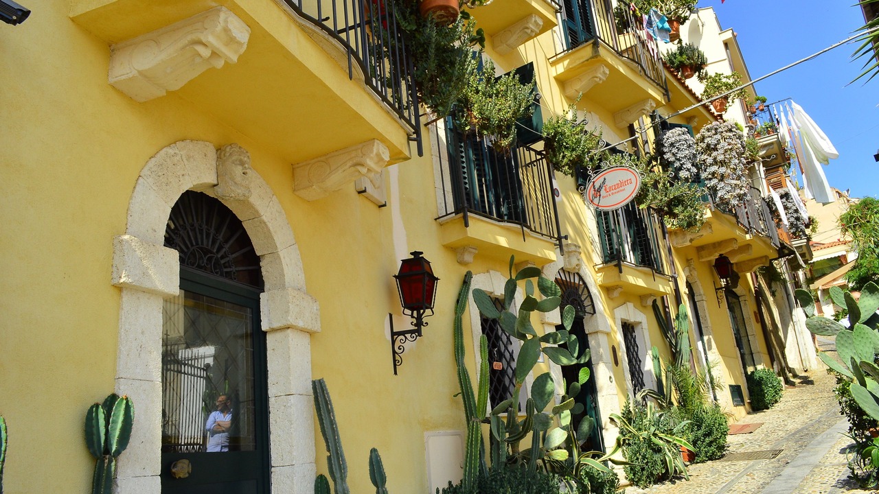 Photo of Outdoor in Scilla