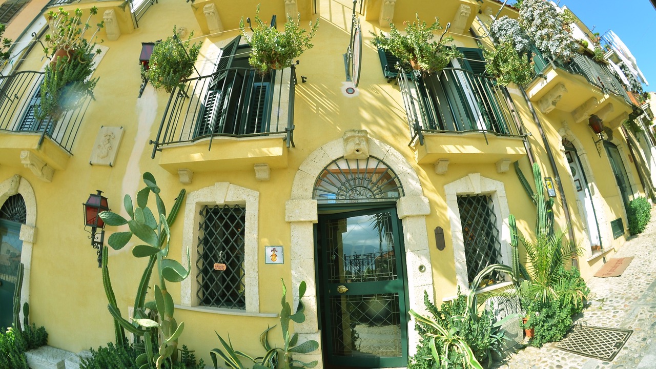 Photo of Outdoor in Scilla