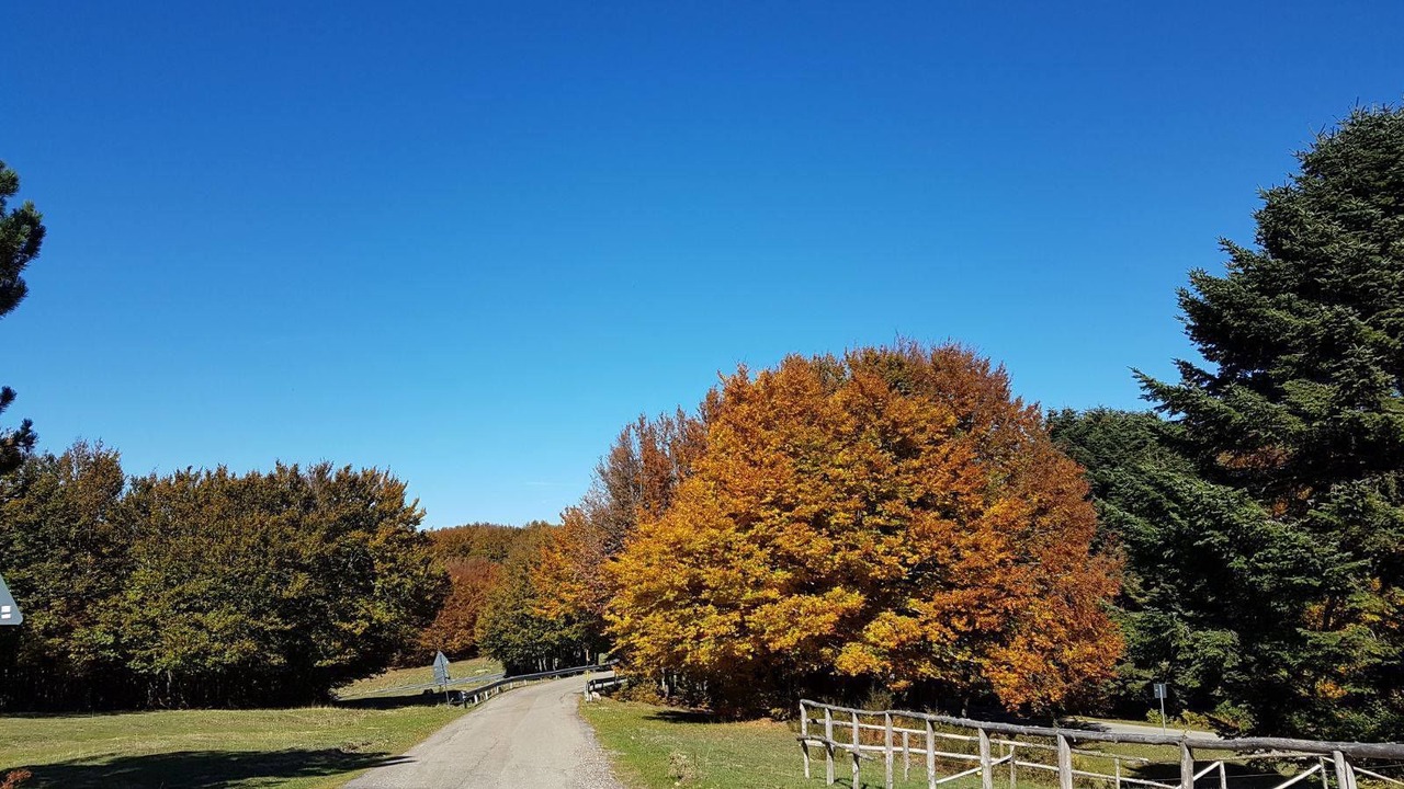 Photo of Outdoor in Celico