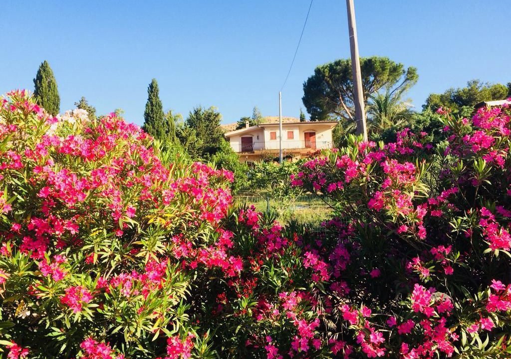 Photo of Outdoor in Santa Ninfa