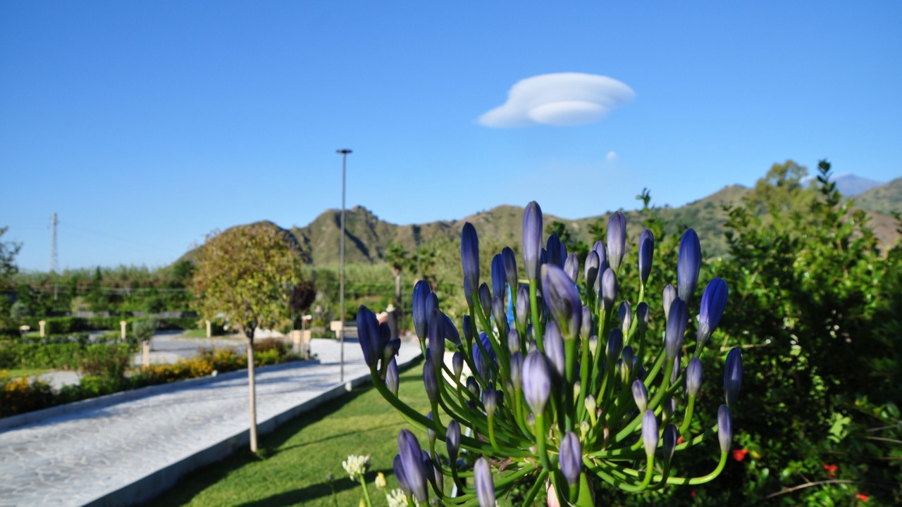 Photo of Outdoor in Trappitello