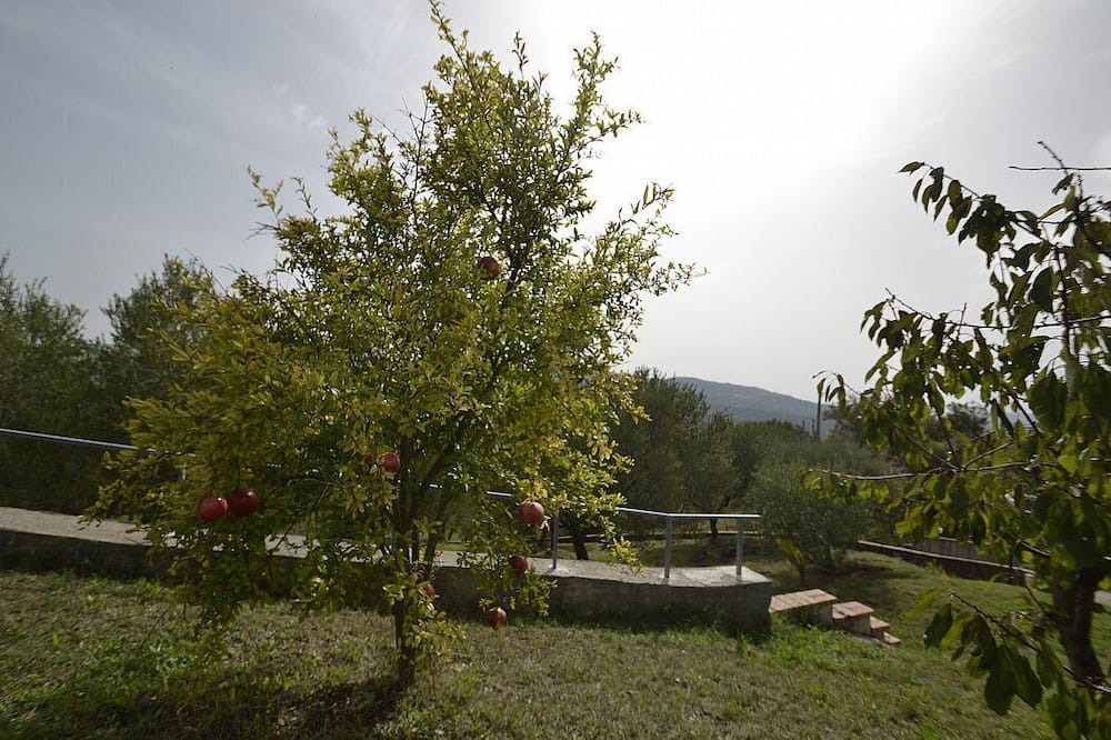 Photo of Outdoor in San Mauro La Bruca