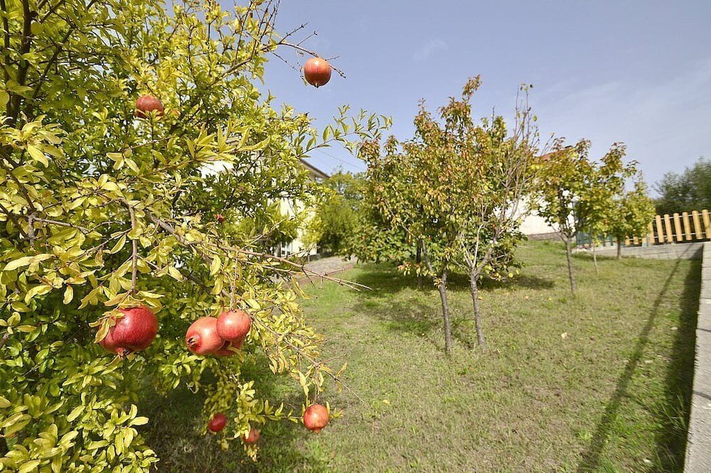 Photo of Outdoor in San Mauro La Bruca