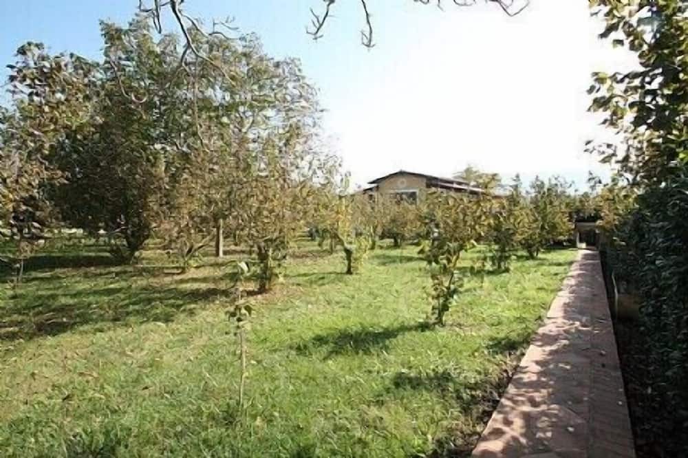Photo of Outdoor in San Cipriano Picentino