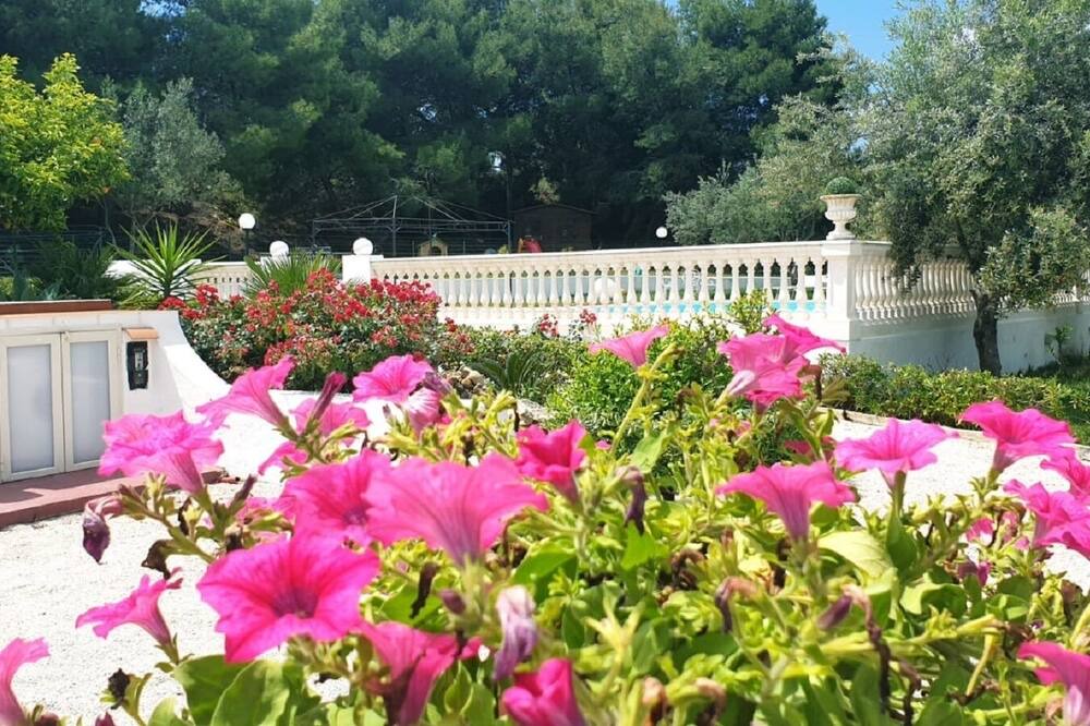 Photo of Outdoor in Trappeto