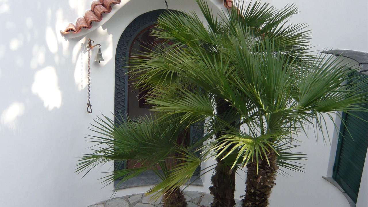 Photo of Outdoor in Succhivo