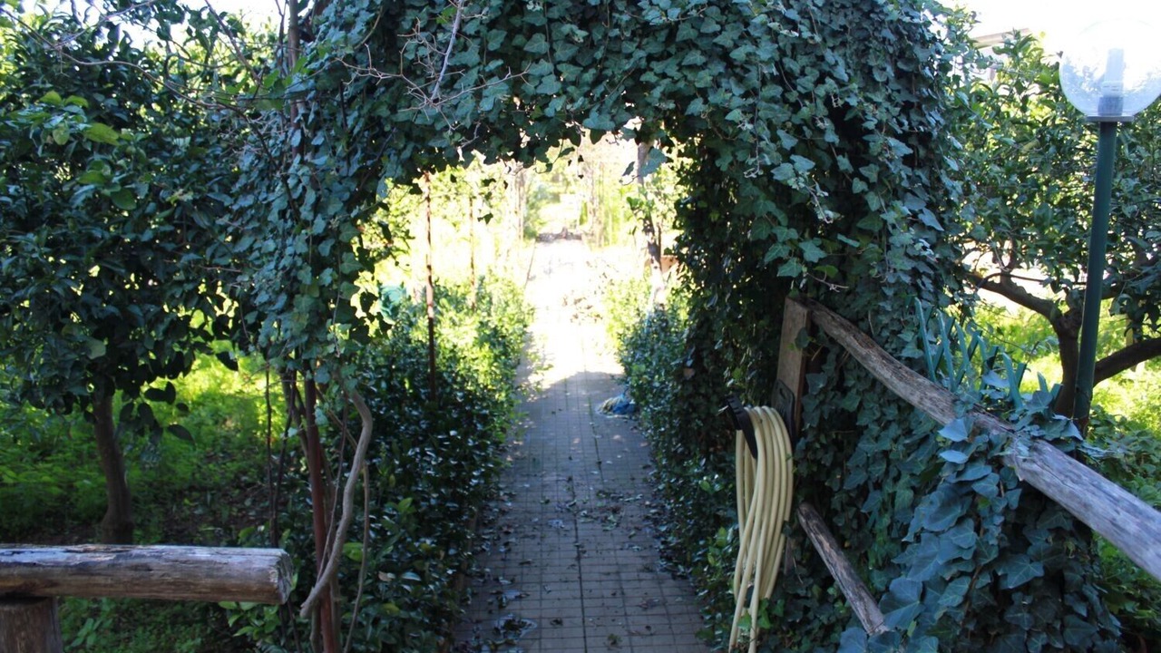 Photo of Outdoor in Sant'Andrea Bonagia