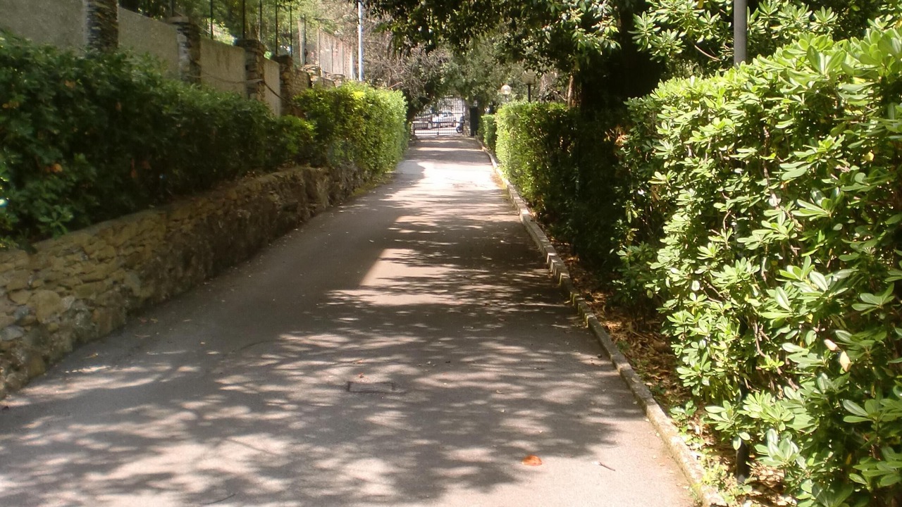 Photo of Outdoor in Pieve Ligure