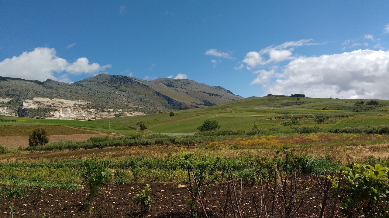Photo of Outdoor in Mockarta