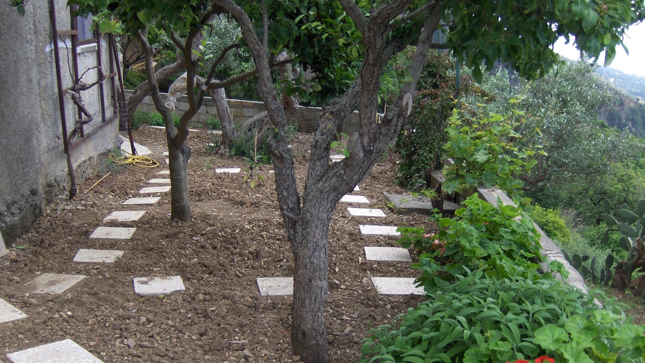 Photo of Outdoor in Belmonte Calabro