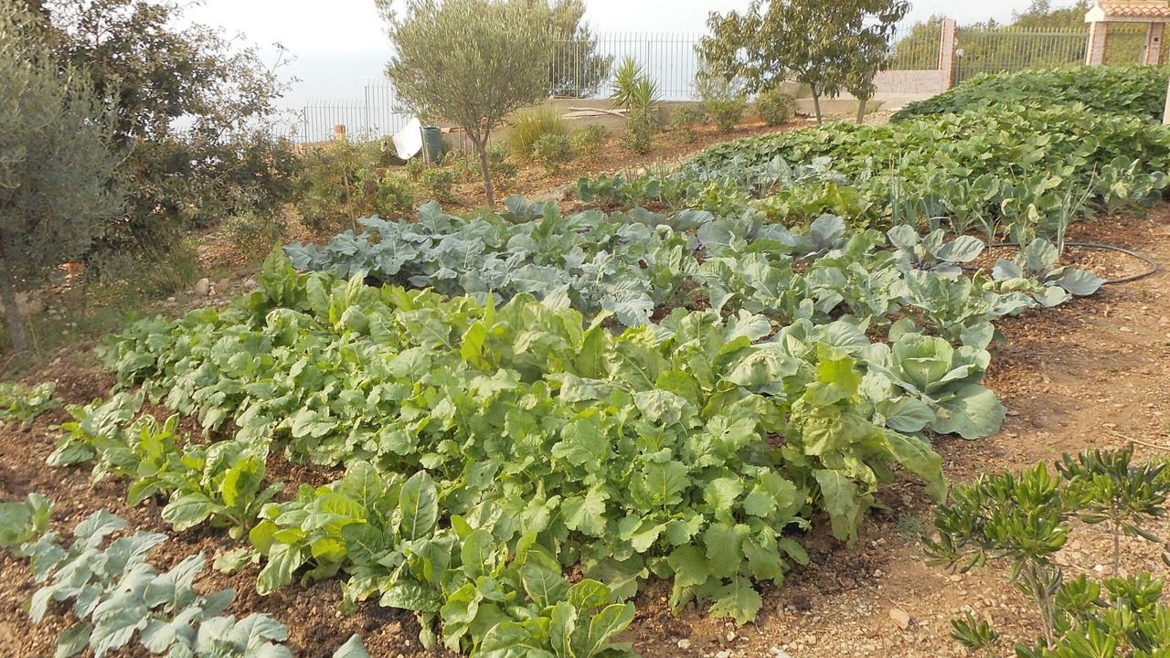 Photo of Outdoor in Belmonte Calabro