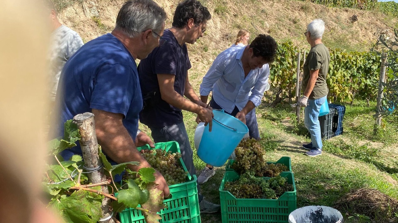 Photo of Outdoor in Badolato