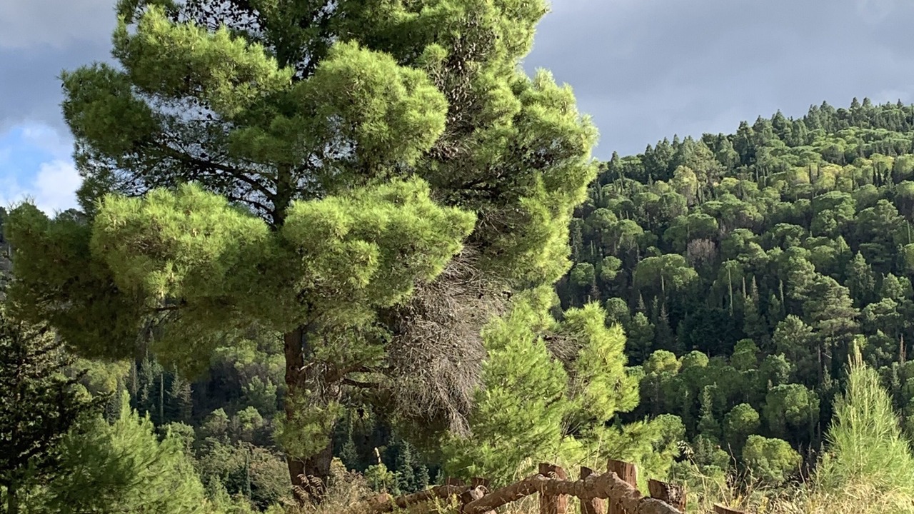 Photo of Outdoor in Chiaramonte Gulfi