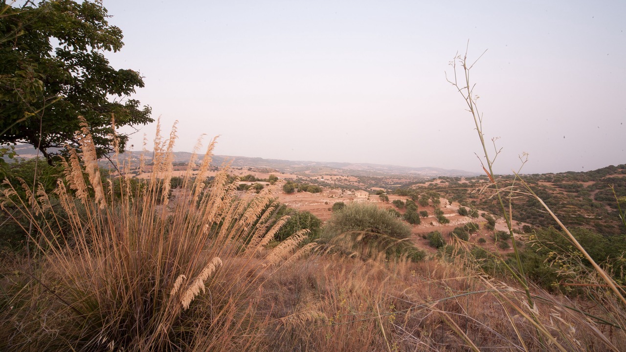 Photo of Outdoor in Casa Papa
