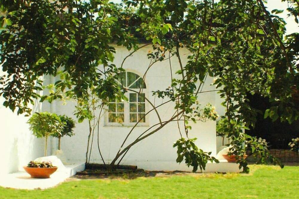Photo of Outdoor in Rovittello