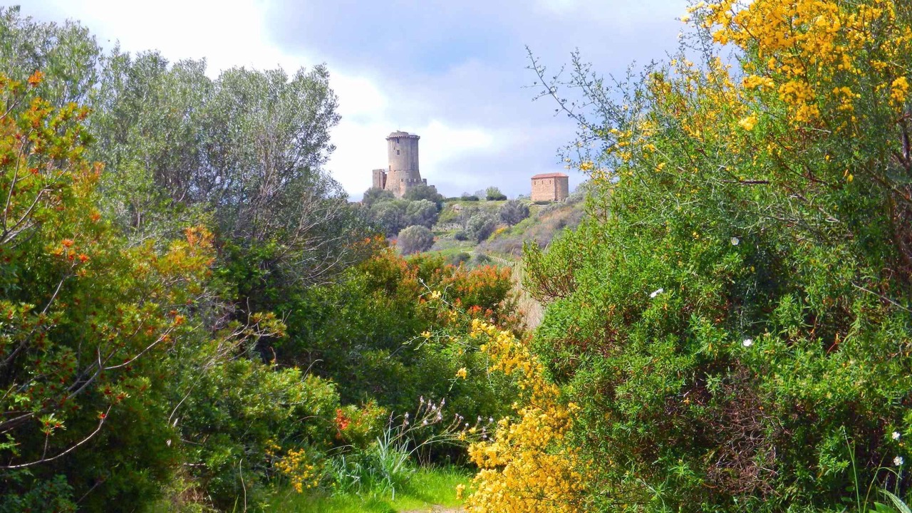 Photo of Outdoor in Ascea