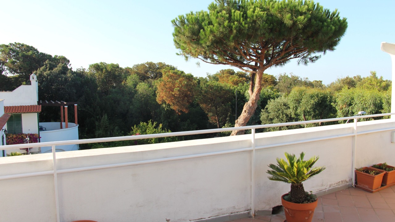 Photo of Outdoor in Ischia Porto
