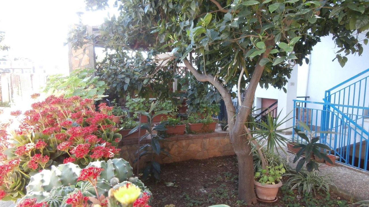 Photo of Outdoor in Mondello