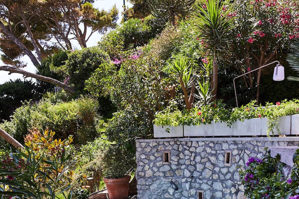 Photo of Outdoor in Licola