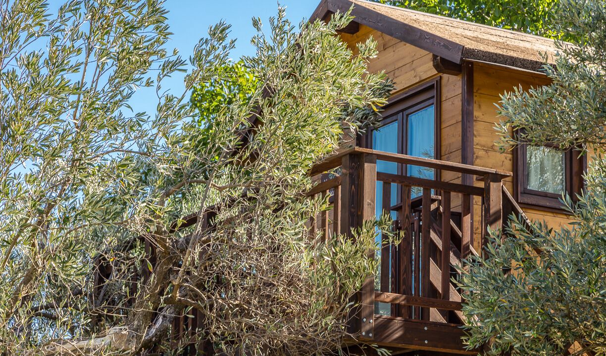 Photo of Outdoor in Marano Marchesato