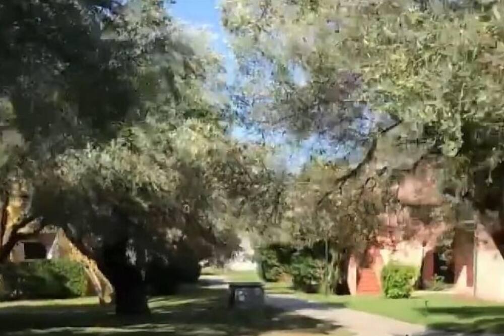 Photo of Outdoor in Sant'Andrea Apostolo dello Ionio