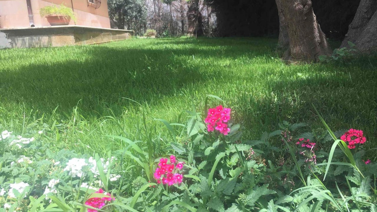 Photo of Outdoor in Partinico