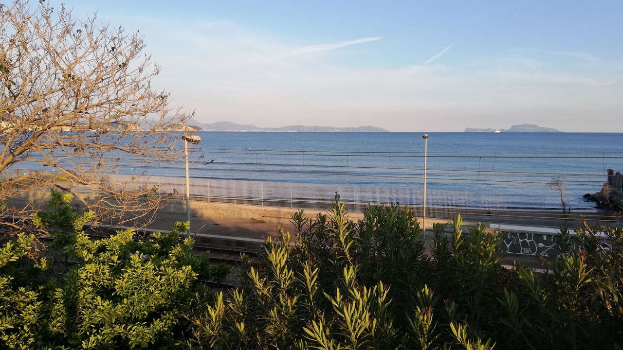 Photo of Outdoor in Licola