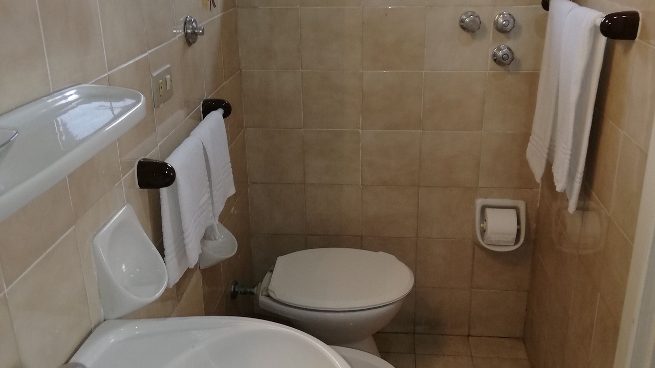 Photo of Bathroom in Licola