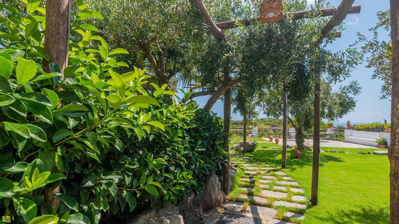 Photo of Outdoor in Panza
