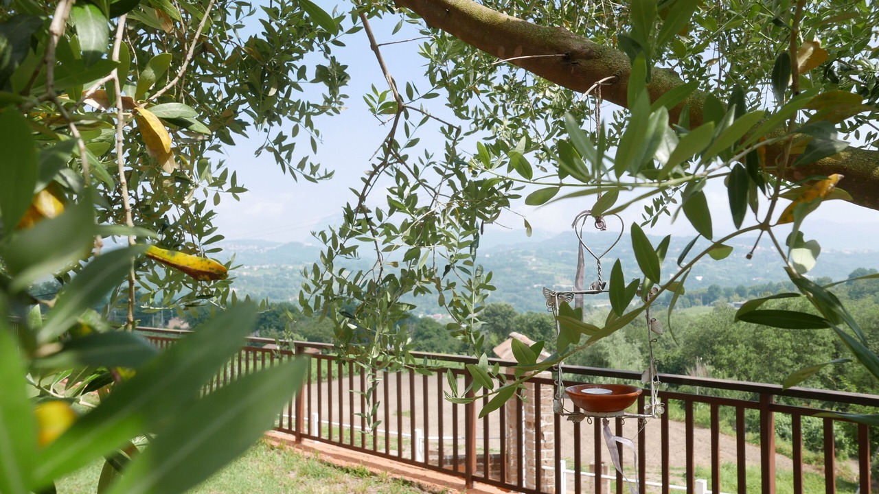 Photo of Outdoor in Prata di Principato Ultra