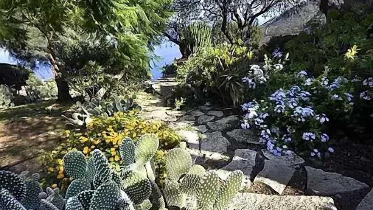 Photo of Outdoor in San Vito Lo Capo