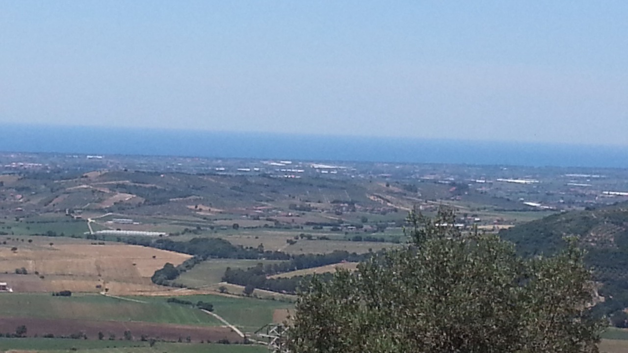 Photo of Others in Albanella