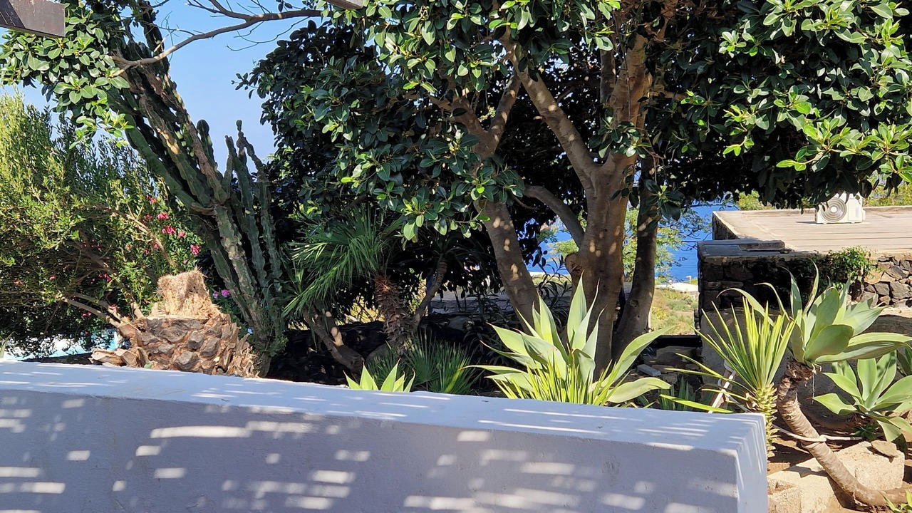 Photo of Outdoor in Kamma