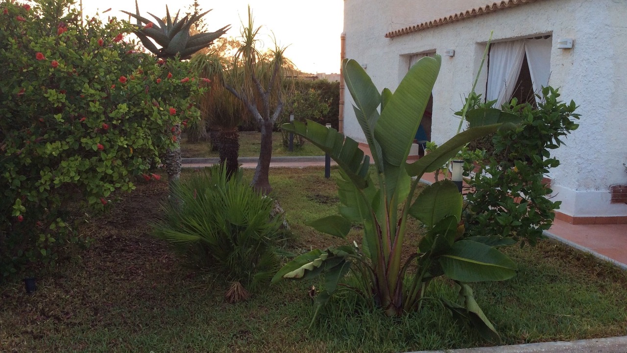 Photo of Outdoor in Pachino