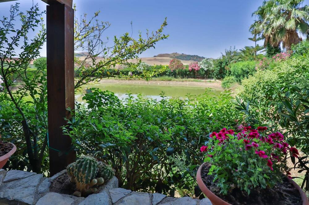 Photo of Outdoor in Alia
