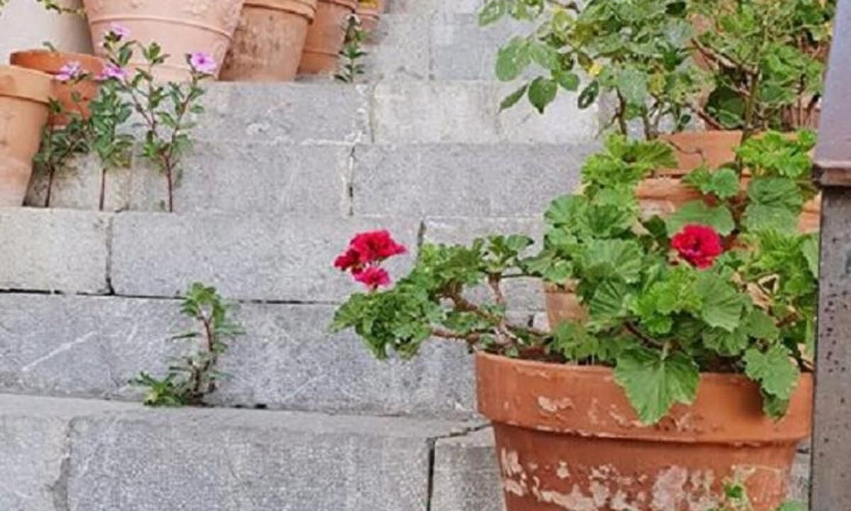 Photo of Outdoor in Castelmola