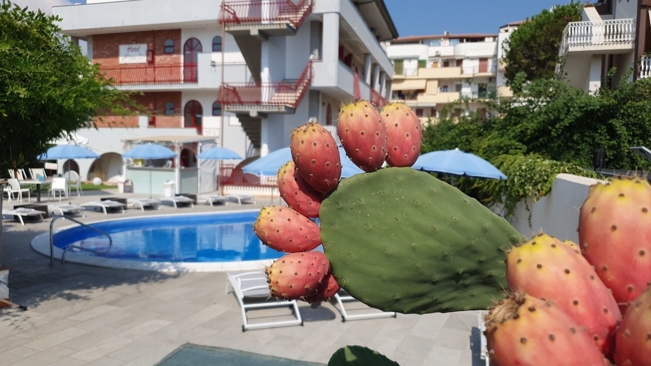 Photo of Outdoor in Giardini Naxos