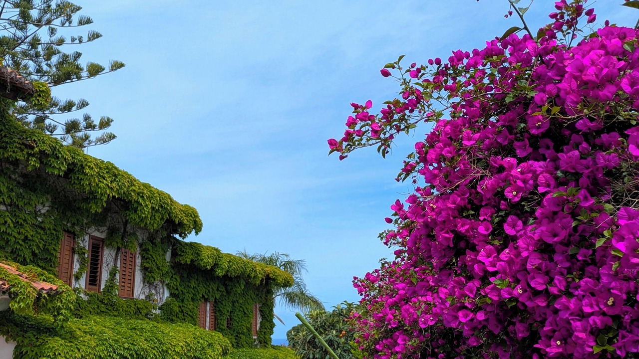 Photo of Outdoor in Parghelia