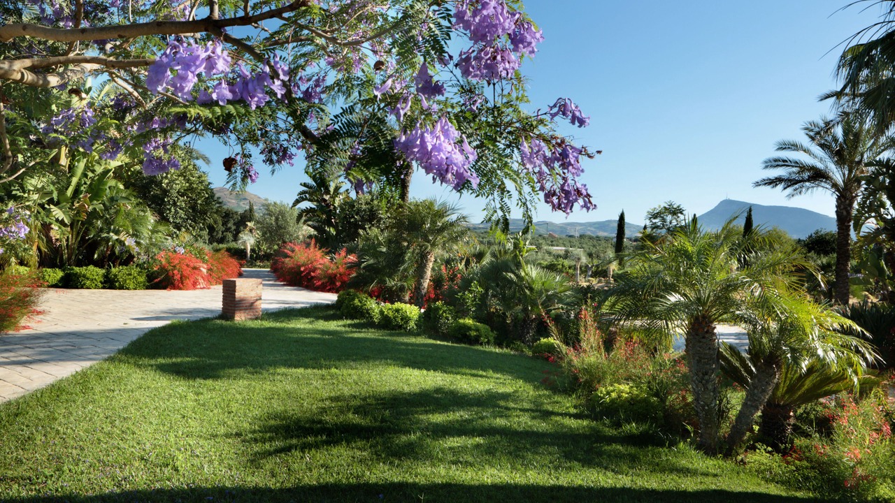 Photo of Outdoor in Partinico