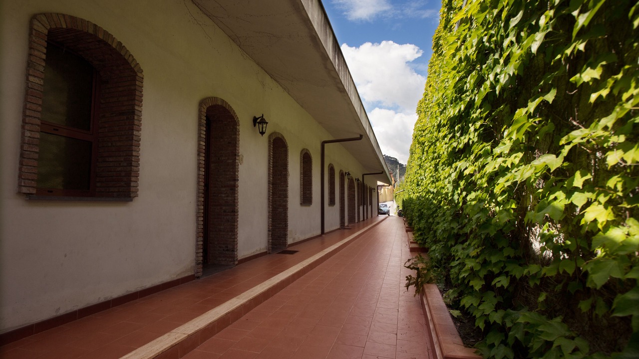 Photo of Outdoor in Furci Siculo