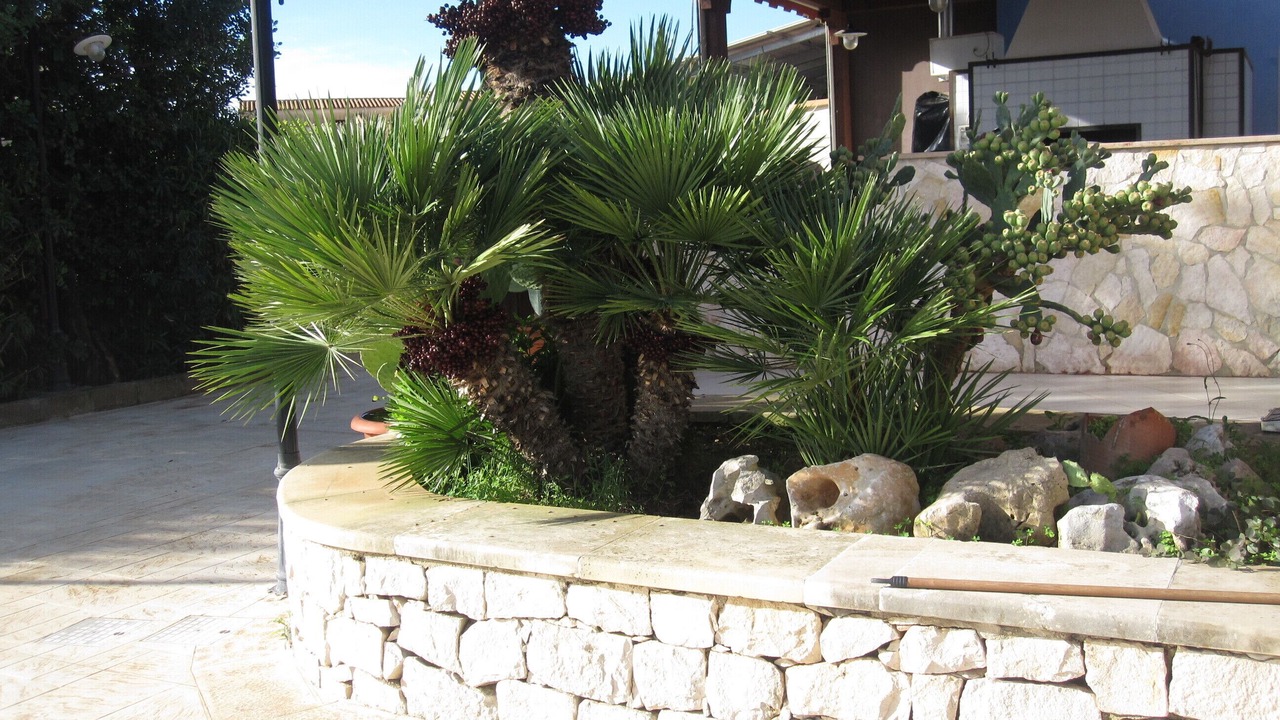 Photo of Outdoor in Bosco Pisana