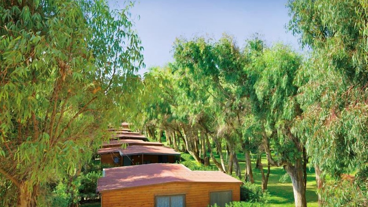 Photo of Outdoor in San Ferdinando