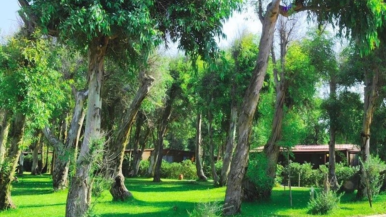 Photo of Outdoor in San Ferdinando