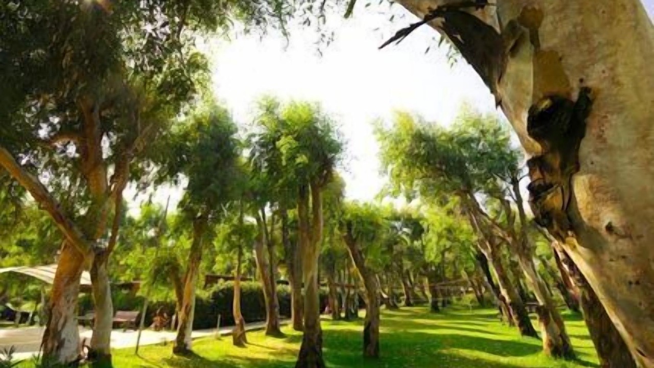 Photo of Outdoor in San Ferdinando